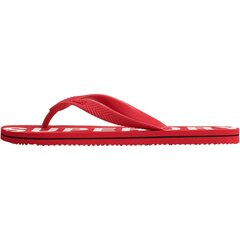 Vīriešu Superdry Code Essential Flip Flop Flip flops Vīriešu čības цена и информация | Мужские шлепанцы, босоножки | 220.lv