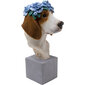 Deco Object Fiori Beagle 47cm цена и информация | Interjera priekšmeti | 220.lv