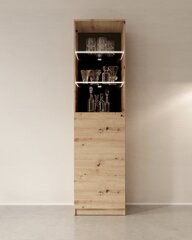 Тумба ADRK Furniture Evi II, коричневая цена и информация | Шкафчики в гостиную | 220.lv