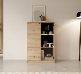 Тумба ADRK Furniture Evi, коричневая цена и информация | Шкафчики в гостиную | 220.lv