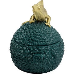 Шкатулка Chameleon 20 см цена и информация | Детали интерьера | 220.lv