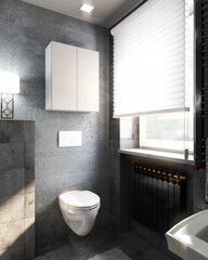 Stiv Meble vannasistabs skapītis, balts cena un informācija | Vannas istabas skapīši | 220.lv