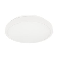 SELENE plafoni 2xE27, maks. 2x60W, mikroviļņu sensors, IP54, balts cena un informācija | Griestu lampas | 220.lv