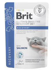 Brit GF Veterinary Diets Recovery ar lasi, 85 g cena un informācija | Konservi kaķiem | 220.lv