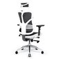 Biroja krēsls Diablo V-Basic, balts/melns цена и информация | Biroja krēsli | 220.lv