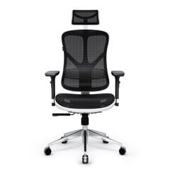 Эргономичное кресло Diablo V-Basic бело-черное цена и информация | Офисные кресла | 220.lv