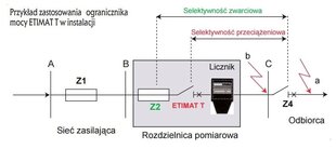 ETI jaudas ierobežotājs cena un informācija | Elektrības slēdži, rozetes | 220.lv