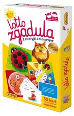 Bilžu loterija Adamigo, Lotto Guess 05086 cena un informācija | Galda spēles | 220.lv