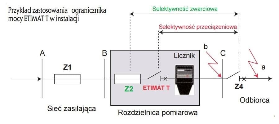 ETI jaudas ierobežotājs цена и информация | Elektrības slēdži, rozetes | 220.lv