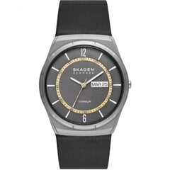 Vīriešu Pulkstenis Skagen MELBYE TITANIUM (Ø 43 mm) S7293991 cena un informācija | Sieviešu pulksteņi | 220.lv