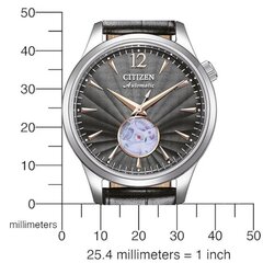 Citizen Automatic NH9131-14E NH9131-14E цена и информация | Женские часы | 220.lv