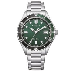 Citizen Eco-Drive AW1828-80X AW1828-80X цена и информация | Женские часы | 220.lv