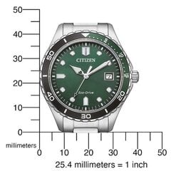 Citizen Eco-Drive AW1828-80X AW1828-80X цена и информация | Женские часы | 220.lv