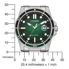 Citizen Eco-Drive AW1811-82X AW1811-82X cena un informācija | Sieviešu pulksteņi | 220.lv