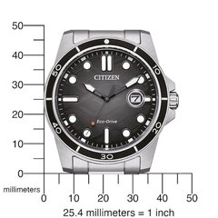 Citizen Eco-Drive AW1816-89E AW1816-89E цена и информация | Женские часы | 220.lv