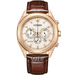 Citizen Eco-Drive CA4593-15A CA4593-15A цена и информация | Женские часы | 220.lv