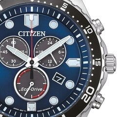 Citizen Eco-Drive AT2560-84L AT2560-84L цена и информация | Женские часы | 220.lv