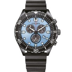 Citizen Eco-Drive AT2567-18L AT2567-18L цена и информация | Женские часы | 220.lv