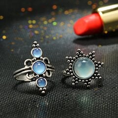 серебряные кольца RETRO PUNK BOHO 71 SET OF RETRO RINGS 71 цена и информация | Кольца | 220.lv