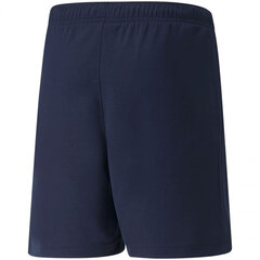 Puma Шорты Teamrise Short Jr Navy 704943 06 цена и информация | Мужские часы | 220.lv