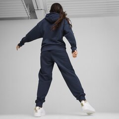 Женский спортивный костюм PUMA Loungewear Suit TR 679920144099685464227 цена и информация | Мужская спортивная одежда | 220.lv