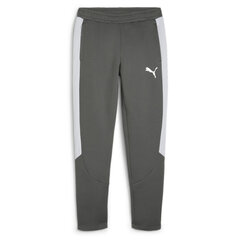 Evostripe pants dk puma 67899780 vīriešiem pilka men's grey 67899780 цена и информация | Мужская спортивная одежда | 220.lv