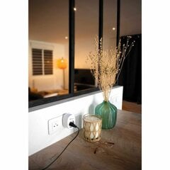 Smart Plug SCS SENTINEL 230 V 16 A цена и информация | Smart устройства и аксессуары | 220.lv