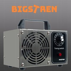 Ozona ģenerators Bigstren, 20000 mg/h цена и информация | Очистители воздуха | 220.lv