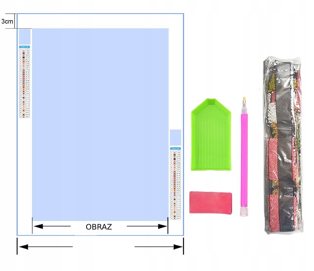 5D dimantu izšūšanas mozaīka D118, 50x100 cm cena un informācija | Dimantu mozaīkas | 220.lv