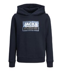 Džemperis zēniem Jack & Jones, zils cena un informācija | Zēnu jakas, džemperi, žaketes, vestes | 220.lv