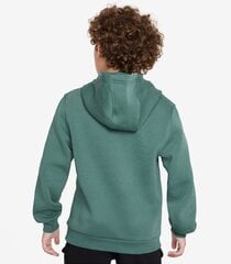 Džemperis zēniem Nike, zaļš cena un informācija | Zēnu jakas, džemperi, žaketes, vestes | 220.lv