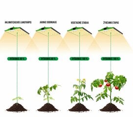 Pilna spektra panelis augu audzēšanai Plizzon New Pro 1000W цена и информация | Проращиватели, лампы для растений | 220.lv