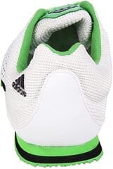 Кроссовки Adidas Jumpstar All Around 49 1/3 MJ G43325 49 1/3 цена и информация | Кроссовки для мужчин | 220.lv