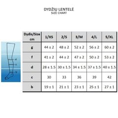 Zeķes sievietēm, melnas, 200 DEN cena un informācija | Sieviešu zeķes | 220.lv