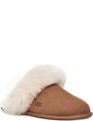 UGG sieviešu brūnas čības SCUFF цена и информация | Шлепанцы, тапочки для женщин | 220.lv