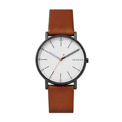 Мужские часы Skagen Signatur цена и информация | Мужские часы | 220.lv