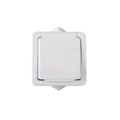 Kanlux Tekno white - одинарная заземленная розетка с защитой контактов N/T IP54 33496 цена и информация | Электрические выключатели, розетки | 220.lv