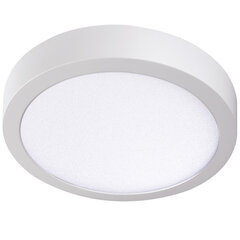 Plafond LED CARSA V2LED 24W 4000K balts cena un informācija | Iebūvējamās lampas, LED paneļi | 220.lv