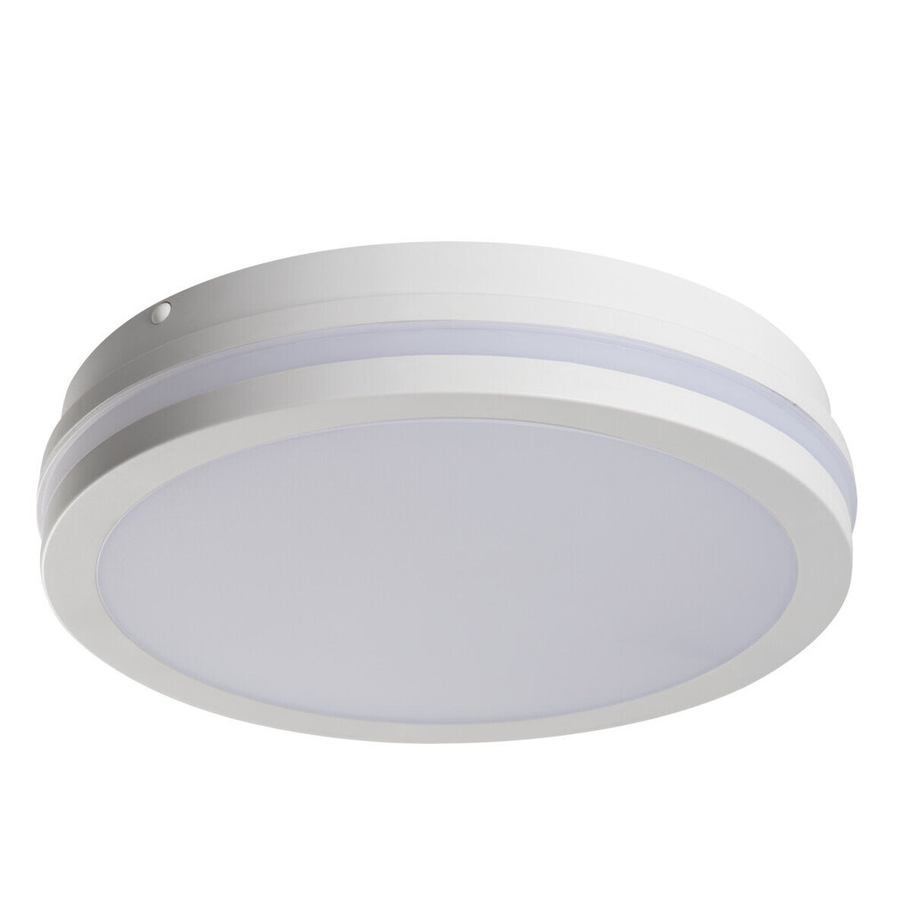 LED plafoni Beno, 24W, balts cena un informācija | Āra apgaismojums | 220.lv