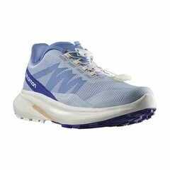 Беговые кроссовки для взрослых Salomon Hypulse Gore-Tex Светло Синий Женщина цена и информация | Спортивная обувь, кроссовки для женщин | 220.lv