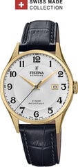 Festina Сделано в Швейцарии 20010/1 цена и информация | Мужские часы | 220.lv