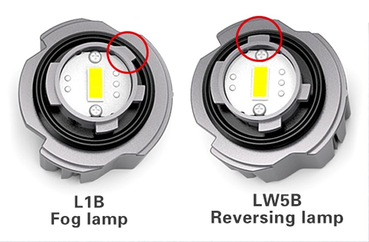 LW5B LED spuldzes 9V-18V CANBUS 2gab Jaunums 4000lm cena un informācija | Auto spuldzes | 220.lv