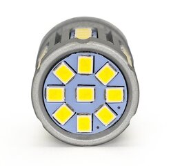 LED lampa MotoLEDy BAY15D cena un informācija | Auto spuldzes | 220.lv