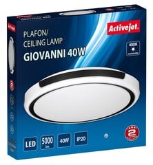 LED griestu lampa Activejet AJE-GIOVANNI cena un informācija | Griestu lampas | 220.lv