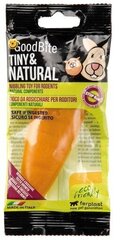 Košļājamā rotaļlieta grauzējiem Ferplast GoodBite Tiny & Natural Carrot, 45 g цена и информация | Клетки и аксессуары для грызунов | 220.lv