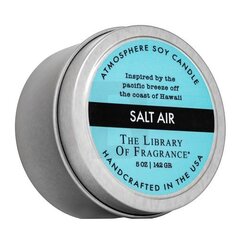 The Library Of Fragrance Salt Air 142 g цена и информация | Подсвечники, свечи | 220.lv