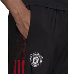 Adidas Manchester United vīriešu sporta bikses cena un informācija | Sporta apģērbs vīriešiem | 220.lv