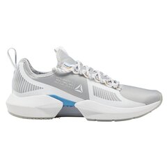 Ботинки Reebok Sole Fury TS 40,5 MJ DV9287 40,5 цена и информация | Кроссовки для мужчин | 220.lv