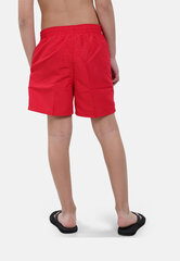 Nike Peldēšanas Šorti Nk B Ess 4'' Volley Short Red NESSB866 614 NESSB866 614/S cena un informācija | Peldbikses zēniem | 220.lv