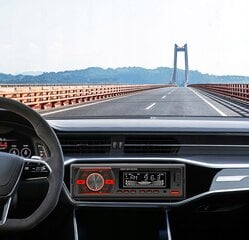 Auto radio ar tālvadības pulti Renew Force cena un informācija | Auto magnetolas, multimedija | 220.lv